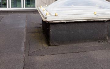 disadvantages of Hampeth flat roofs